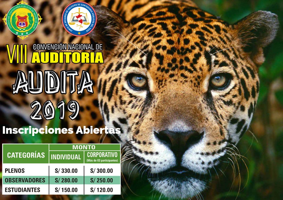 Thumbnail for the post titled: Convención Nacional de Auditoria – AUDITA 2019